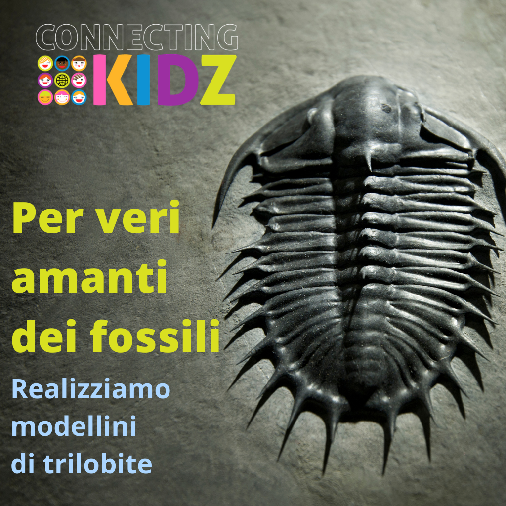Per veri amanti dei fossili – realizziamo modellini di trilobite